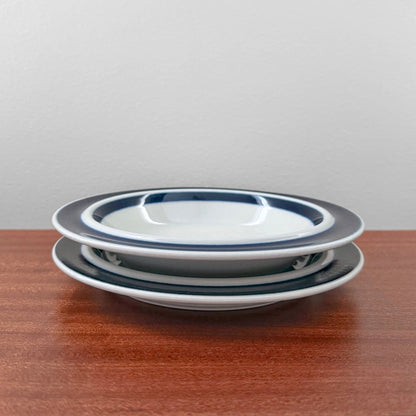 Arabia Finland Anemone Plates