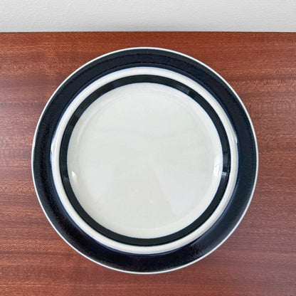 Arabia Finland Anemone Plates